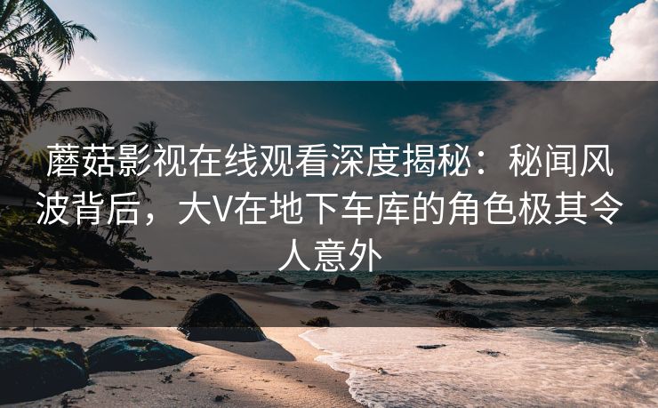 蘑菇影视在线观看深度揭秘：秘闻风波背后，大V在地下车库的角色极其令人意外